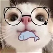 �����Pro��׿��v1.0.1