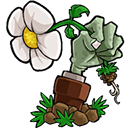 ֲ���ս��ʬת����׿������v2.2.6