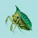 ����ʵ���Ұ�׿��v3