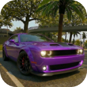 �������ɼ�ʻģ����v10.1.3