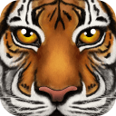 ���ֶ���ģ����(JungleSim)��׿��v1.1