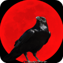 ��ѻ֮˪������ʯ��v1.2.21 ��׿��