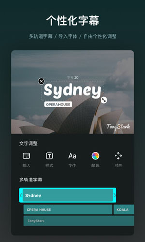 VN��Ƶ����v2.12.0