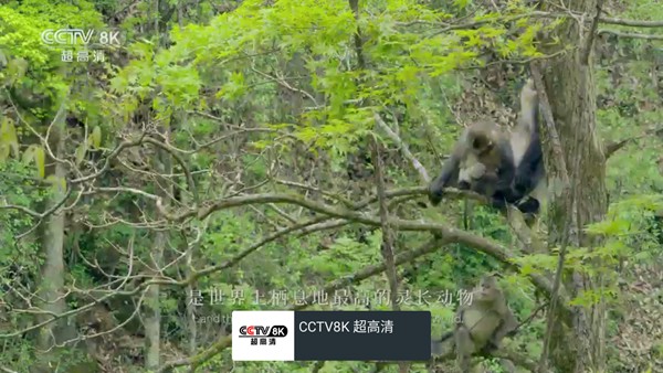 �ҵĵ���TV��������°�v2.2.7