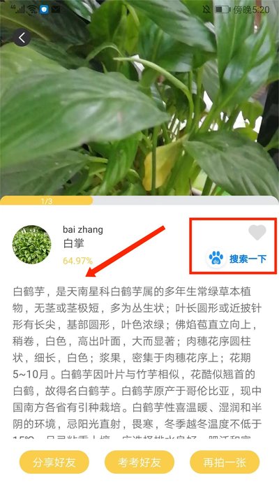 �ǻ�ʶ��app�ٷ�������
