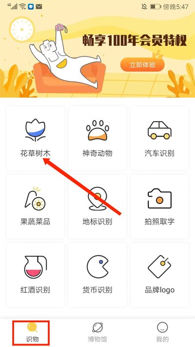 �ǻ�ʶ��app�ٷ�������