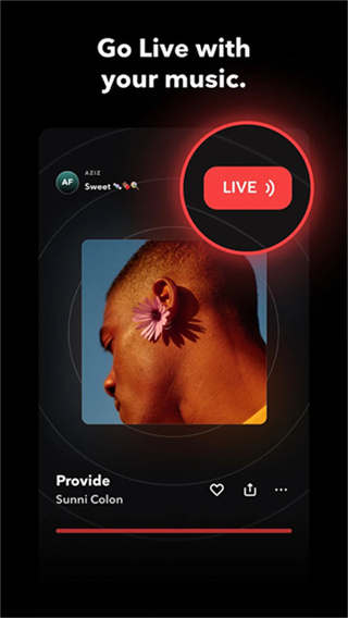 TIDAL�ֻ�������