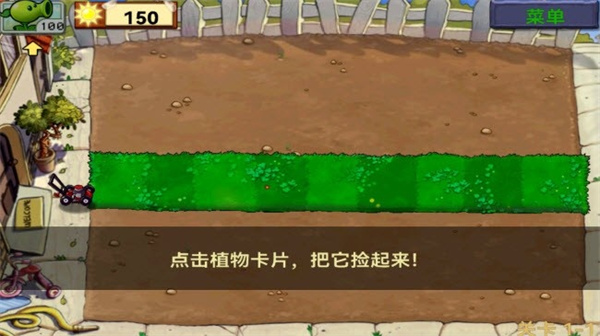66.jpg