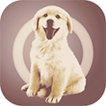 �˹�������app�ֻ���v2.0.9