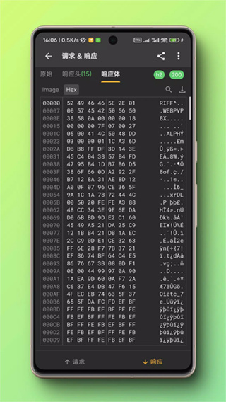 Reqable�ٷ�����v3.1.1 ��׿��