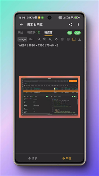 Reqable�ٷ�����v3.1.1 ��׿��
