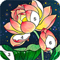 �ҵ�������ɫ���簲׿��v2.2