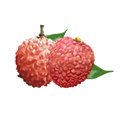 ���ǲ�����׿��v1.5.8