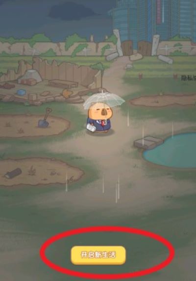 慢豚豚的生活安卓版 慢豚豚的生活安卓版