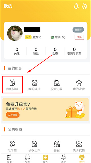 友猫手机版下载 友猫手机版下载