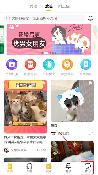 友猫手机版下载 友猫手机版下载