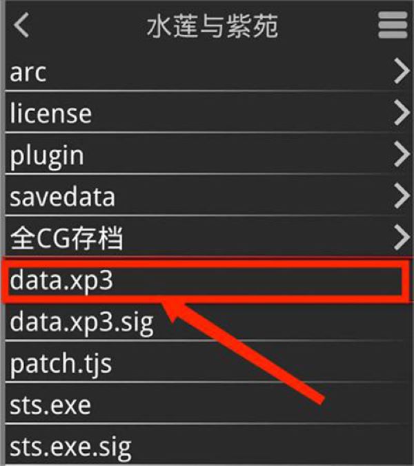 xp3player 模拟器安卓最新版 xp3player 模拟器安卓最新版