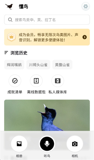 ����app����