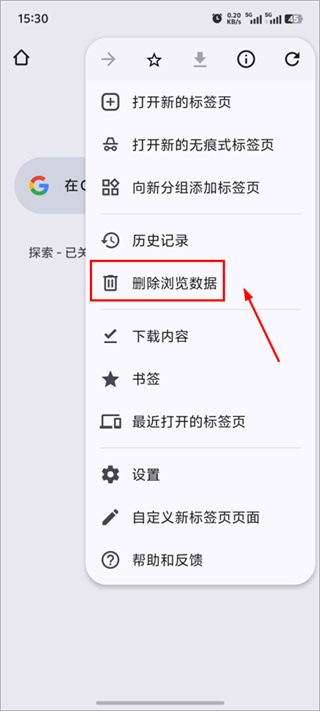 google chrome����������