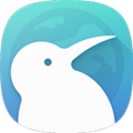 Kiwi Browser������ٷ���׿��v139.0.7339.0