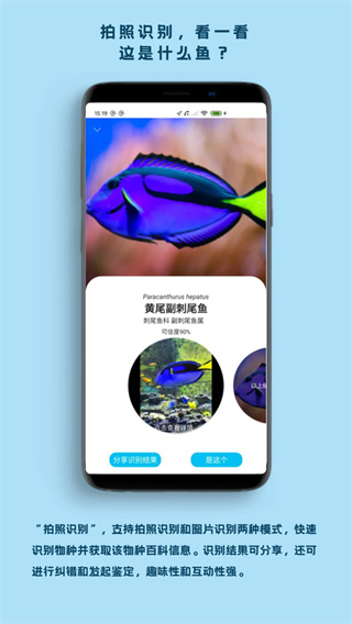�����ֻ�������v2.9.0 ��׿��