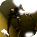 ����backrooms��׿�ٷ�����Ϸ����v1.0.4