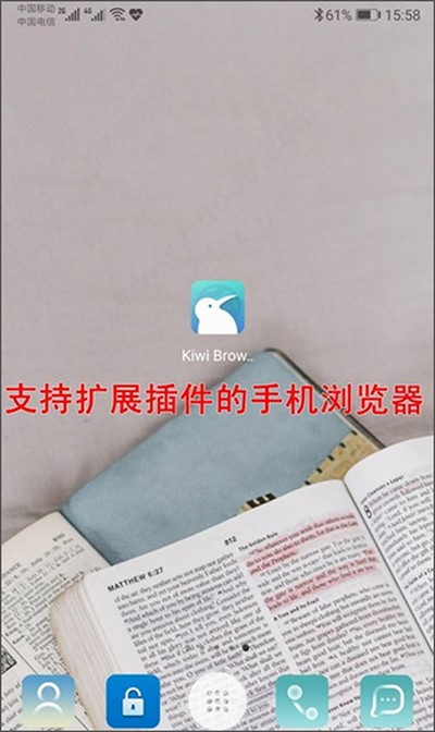 KiwiBrowser�����v139.0.7339.0