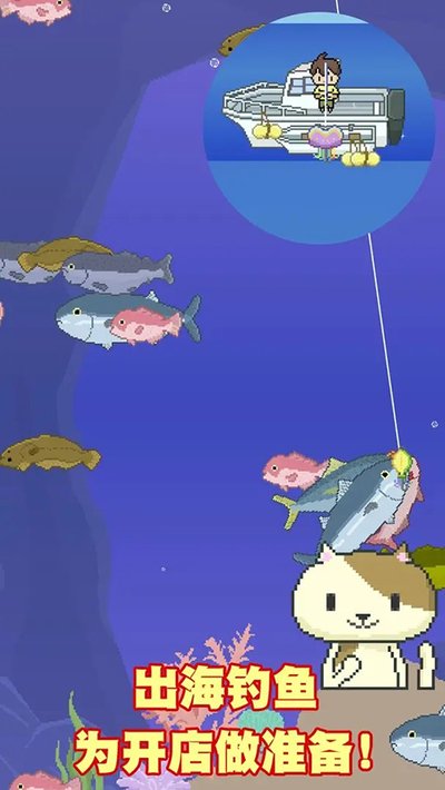 ��˾С̯�ٷ�������v1.2.6