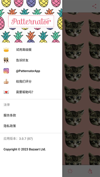 Patternator������ͷ��������v3.0.7