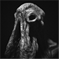 SARCOPH���İ�v2.52