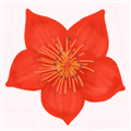 ���ҳ���ٷ���v2.3.0