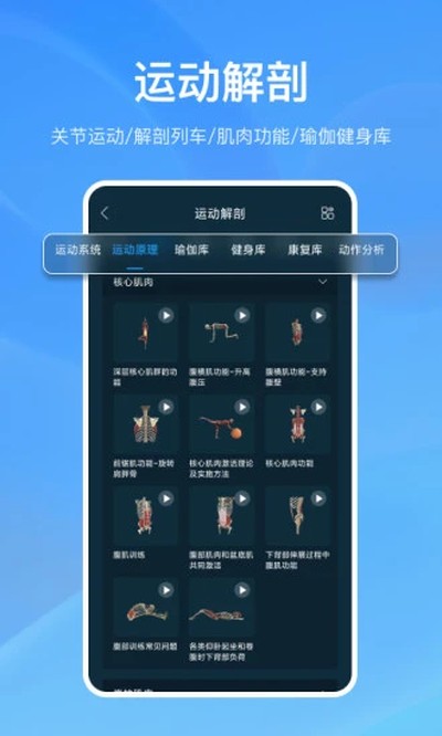 ���ʴ�ʦ������°�v5.0.0