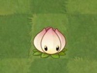 pvz2国际版汉化版下载 pvz2国际版汉化版下载
