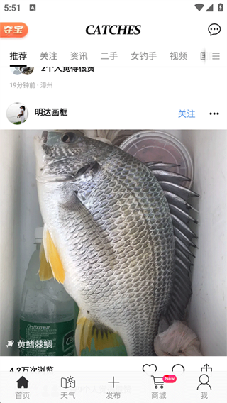 渔获 渔获
