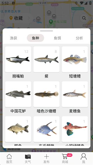 渔获 渔获