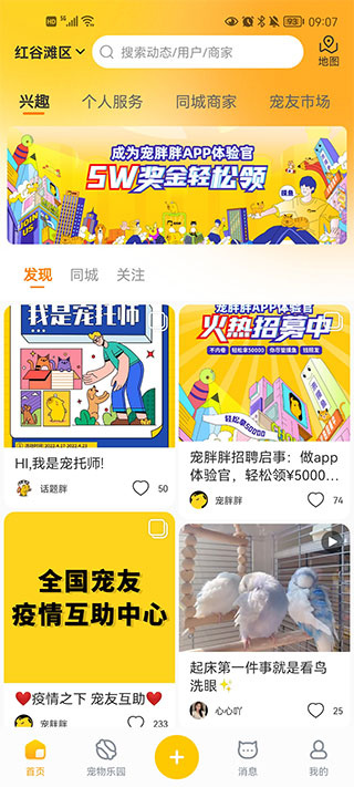 宠胖胖 宠胖胖