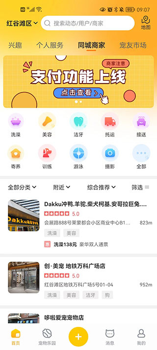 宠胖胖 宠胖胖
