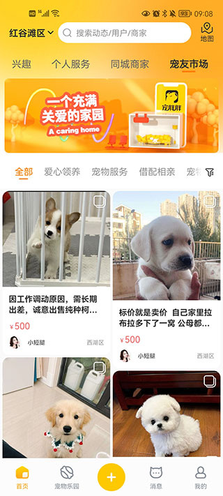 宠胖胖 宠胖胖