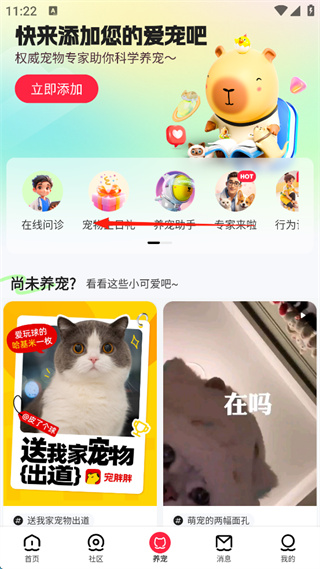 宠胖胖下载 宠胖胖下载