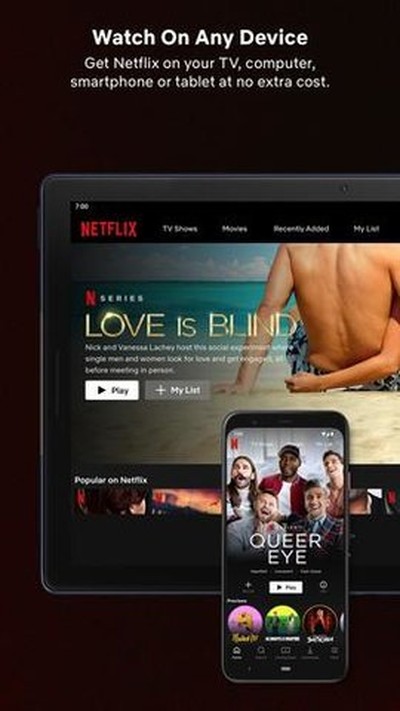netflix�ٷ����İ��������°汾v3.3