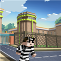 �������CopNRobber���ʰ氲׿���°�v17.0.0