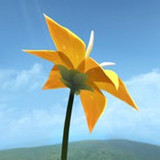 Flower����׿������v1.0.9