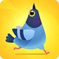 pigeonpop(疯狂的鸽子)全解锁全皮肤免费版安卓下载游戏v22