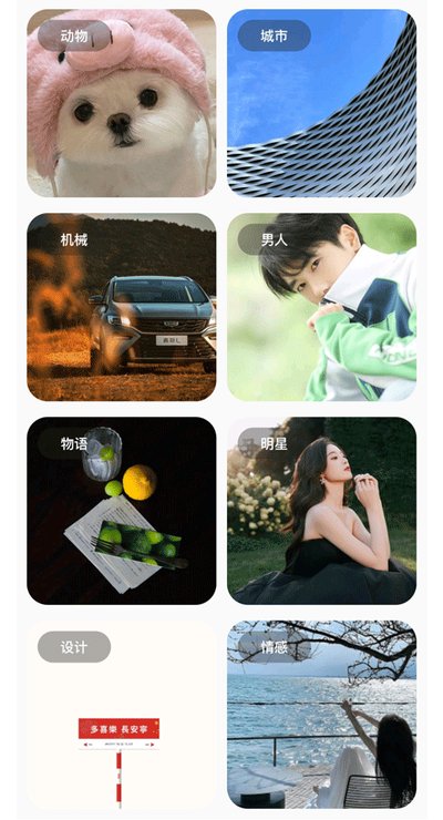 �ʺ�èPro�ٷ���v1.1