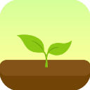 Forest��������v5.20.2 ��׿��