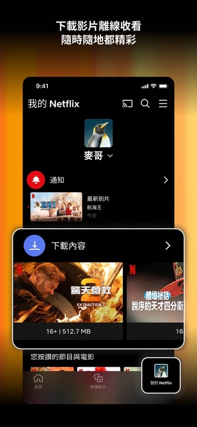 Netflix���°�����v3.3
