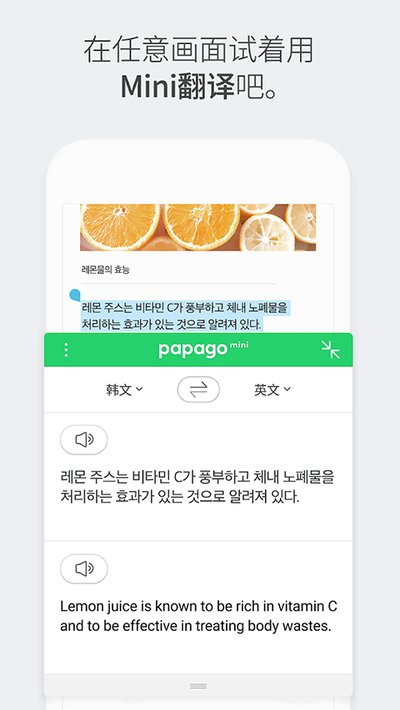 Papago2026���°�v1.11.5