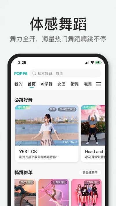 POPFit��ʽ��v1.2.30