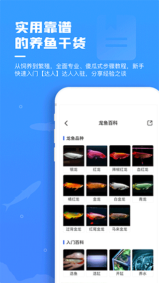 �����°�׿��v2.5.0