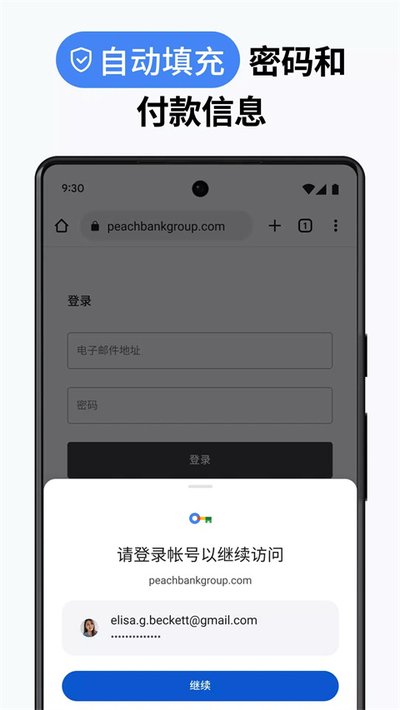 chrome������v138.0.7204.179